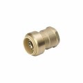 Bk Products ADAPTER FPT BRASS 1/2in. D 6630-203